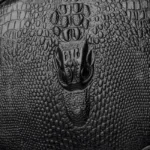 Round pattern croc embossed designer bag - Image 6