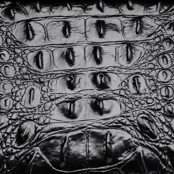 Vintage crocodile pattern all match tote bag - Image 6