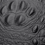 Croc embossed round pattern designer handbag - Image 6
