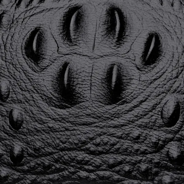 Croc embossed vintage square handbag - Image 6